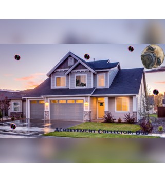 Achievement Collector: Dog Steam Key GLOBAL